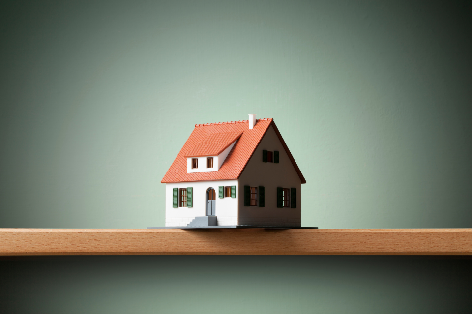 'RUMAH BANGSA' NIAT ZAHID IKHLAS