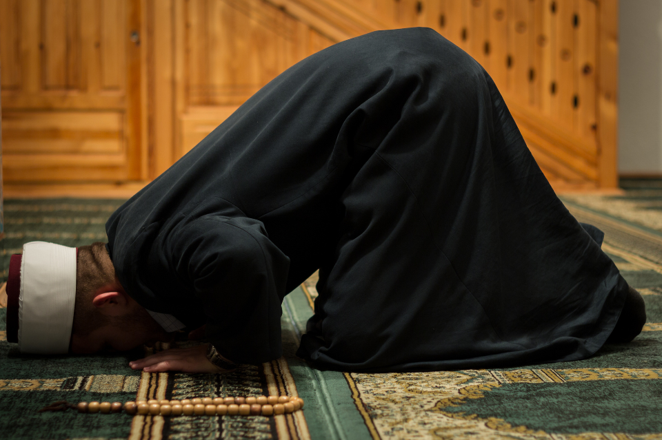 WILAYAH ULAMA